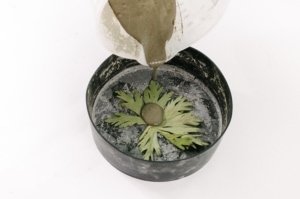 DIY Idee mit Beton für den Herbst